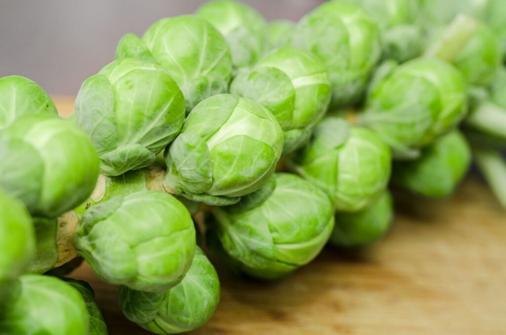 Brussels sprouts Stock Free