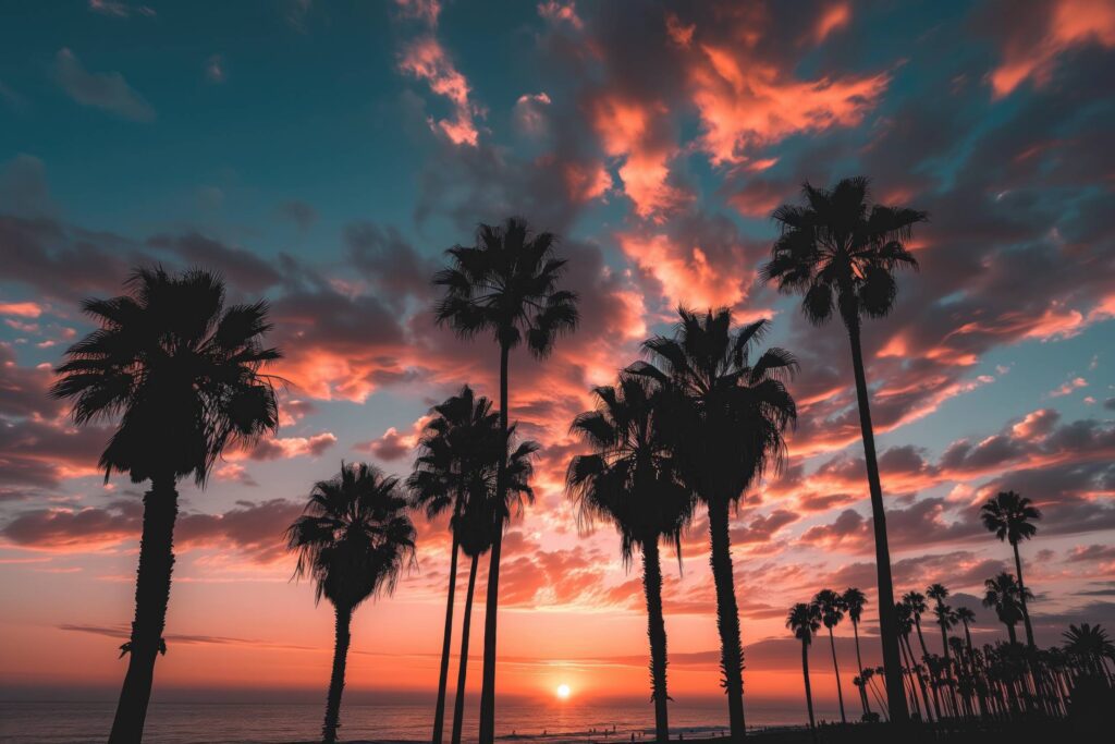 California Sunset Palms Stock Free