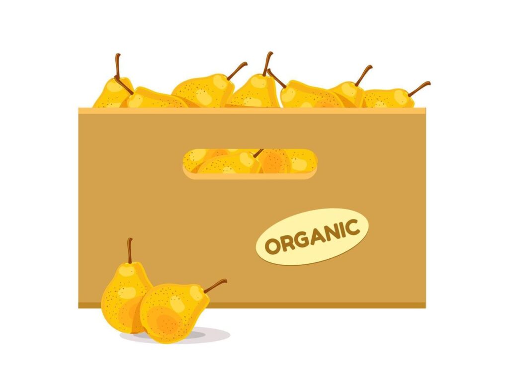 Cardboard box with pears. Fruit box icon. Vector illustration isolated on white background. Stock Free