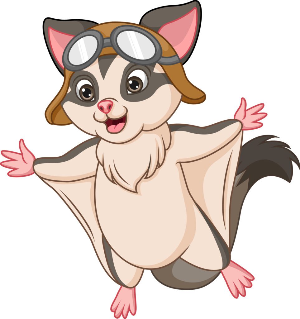 Cartoon sugar glider on white background Free Vector