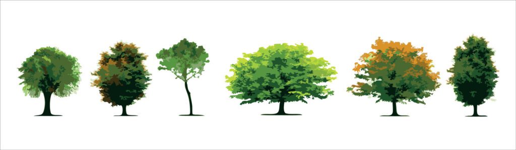 Cartoon trees set isolated on a white background. Free Vector