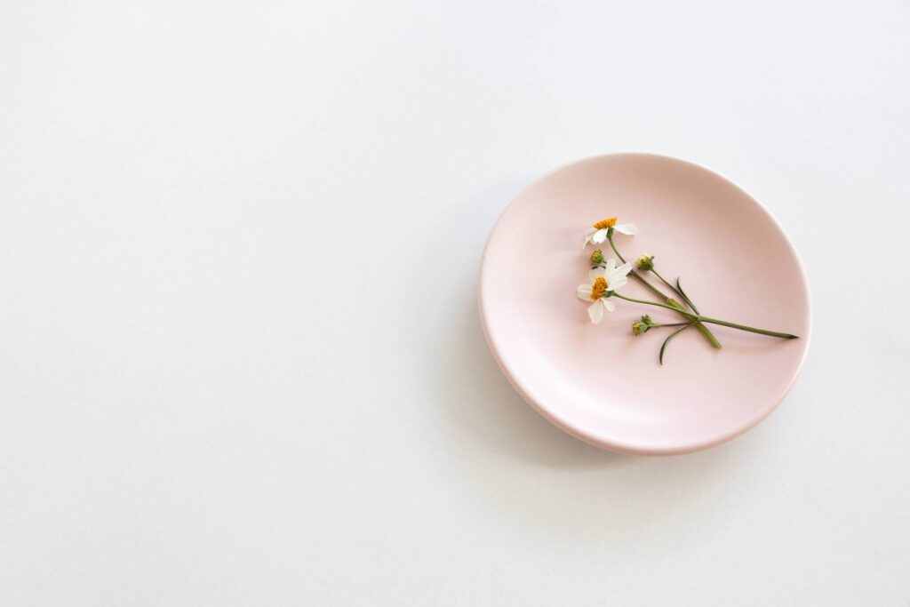 Chamomile Flowers on a Pink Plate Free Photo