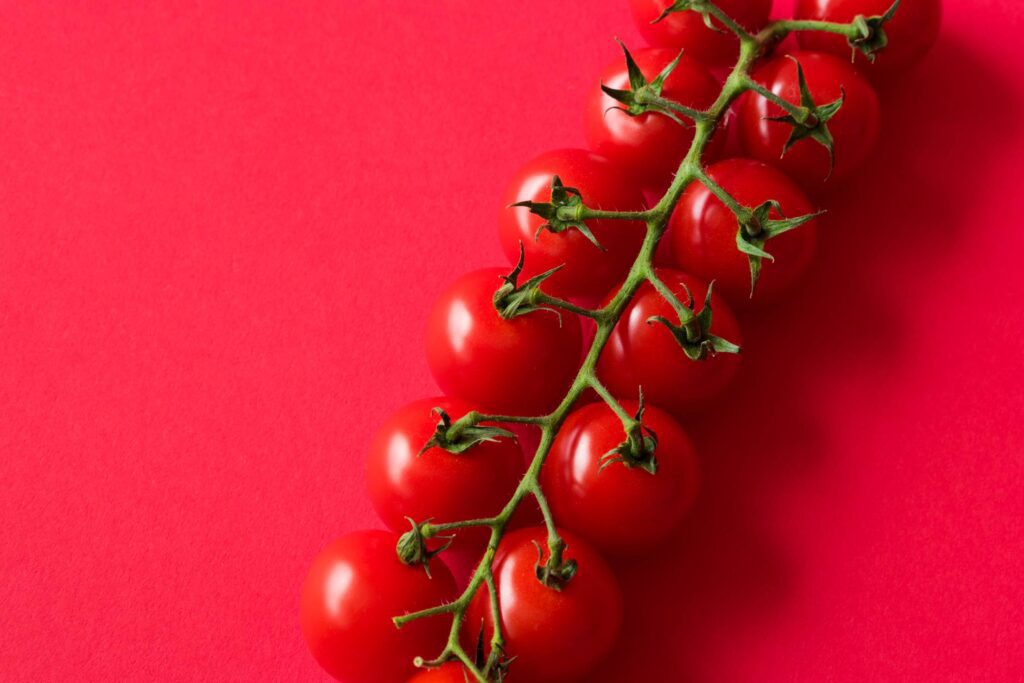 Cherry Tomatoes on Red Background with Room for Text Free Photo