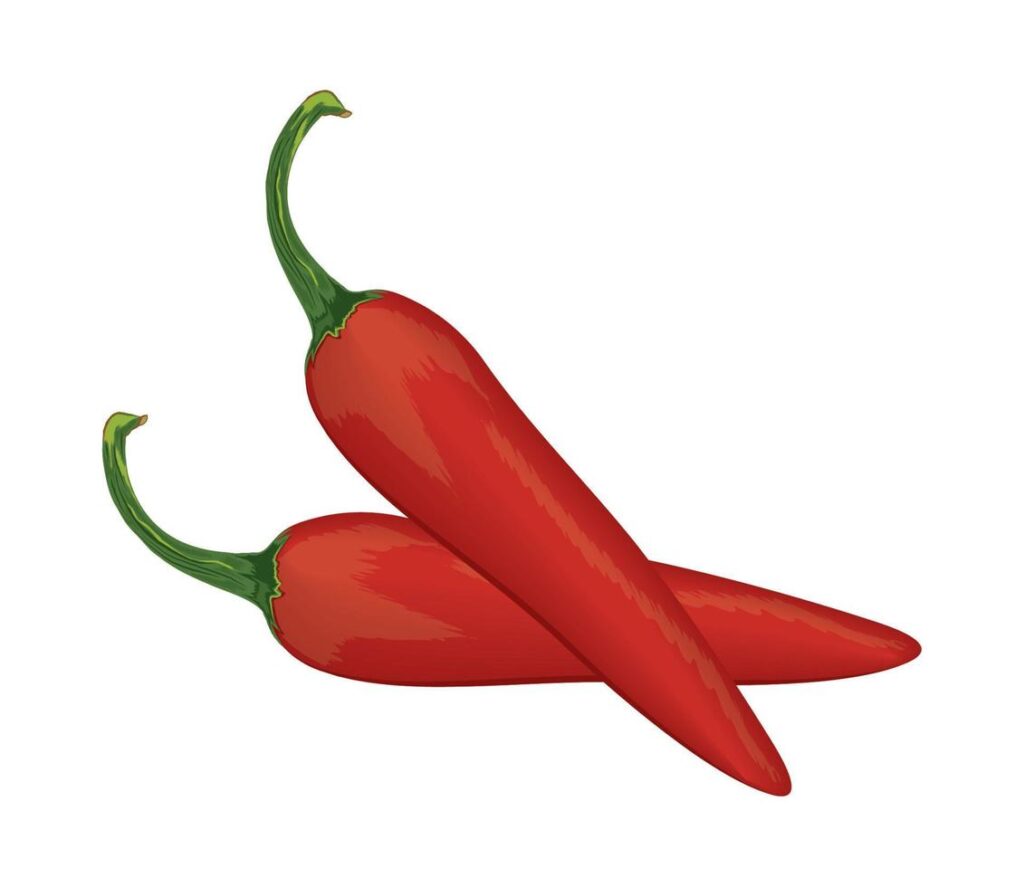 chili pepper vegetable icon Stock Free