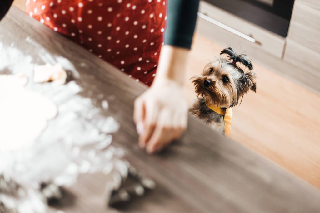 Christmas Baking: Our Little Helper Free Photo