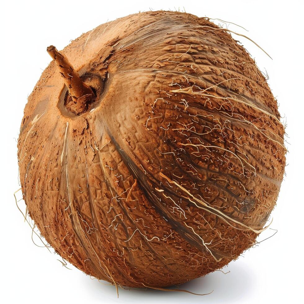 Close Up of a Coconut on White Background Stock Free