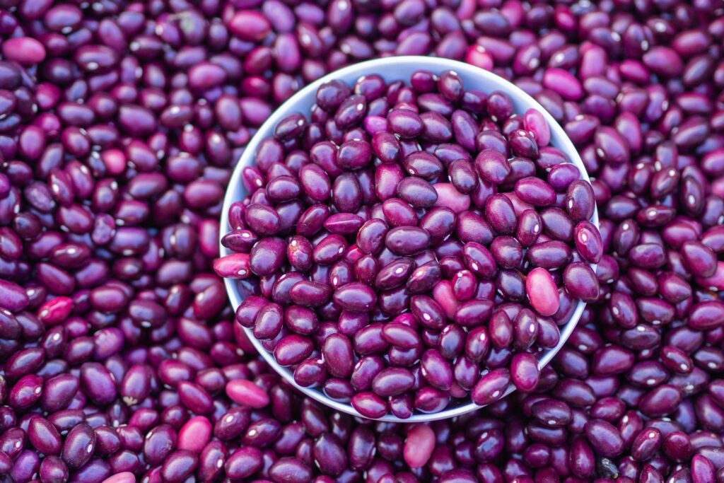 Close-up of grains red bean for sale in the market Stock Free