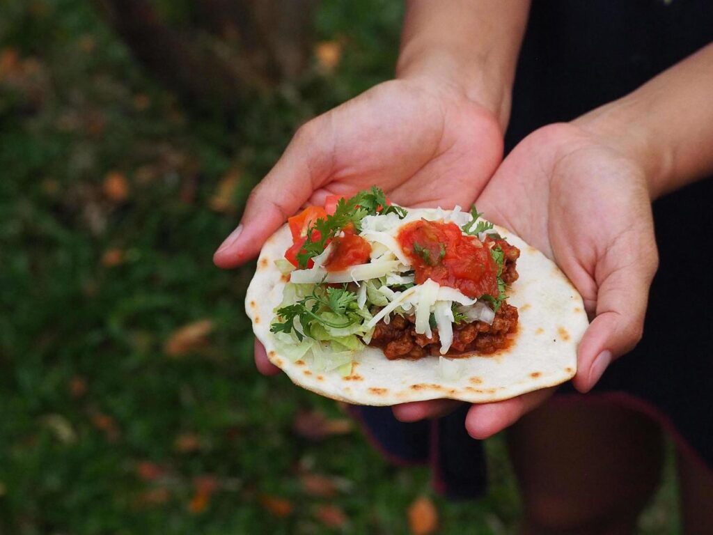 Close-up of Taco Mexican food on hands young woman standing in the garden Stock Free