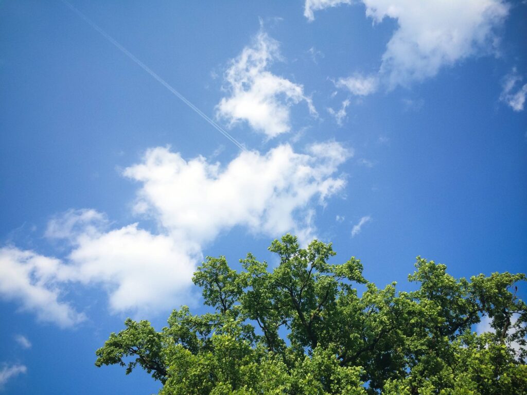 Clouds with Tree Free Photo