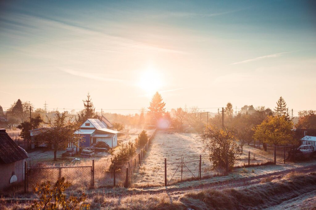 Cold Winter Morning over Gardening Colony Free Photo