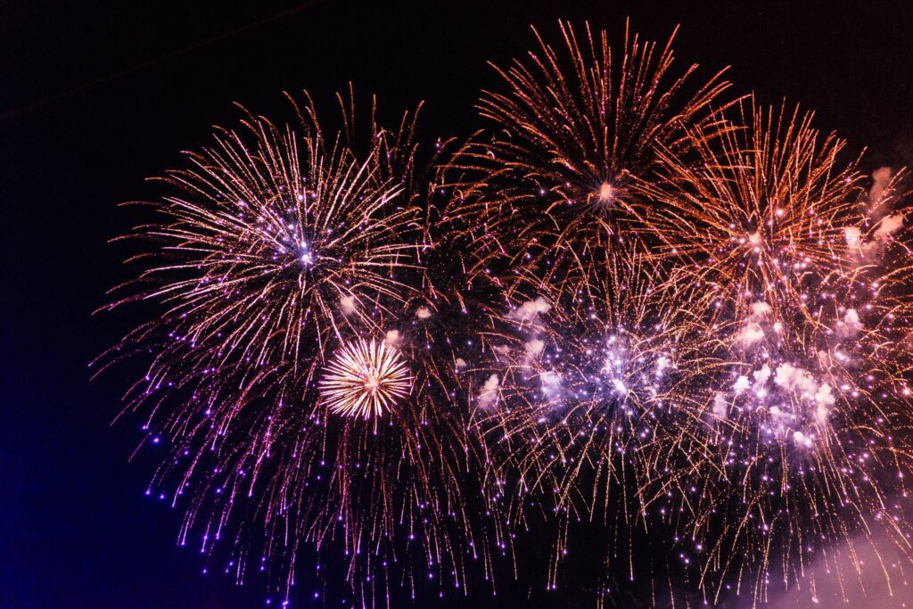 Colorful Fireworks Pyrotechnics Against Black Night Sky Free Photo