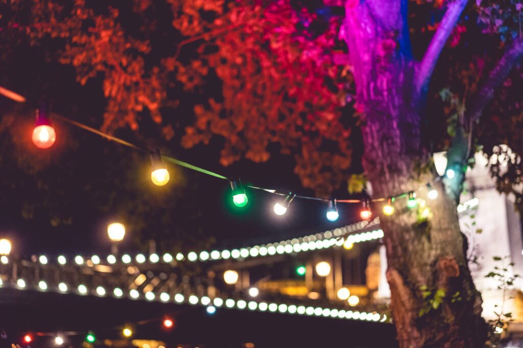 Colorful Lights on Night Garden Party Free Photo