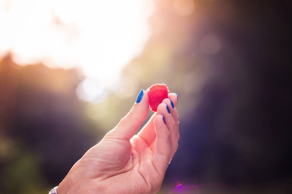 Colorful Raspberry in a Girls Hand Free Photo