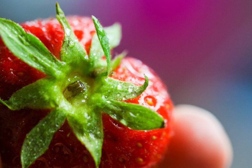 Colorful Strawberry Close Up Free Photo