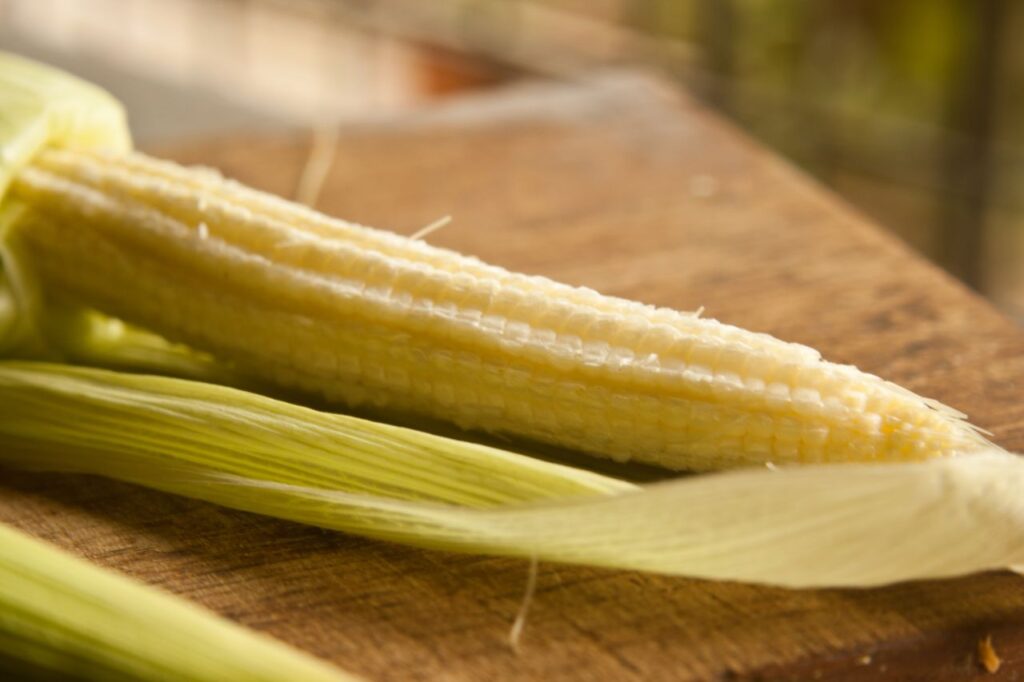 Corn Stock Free