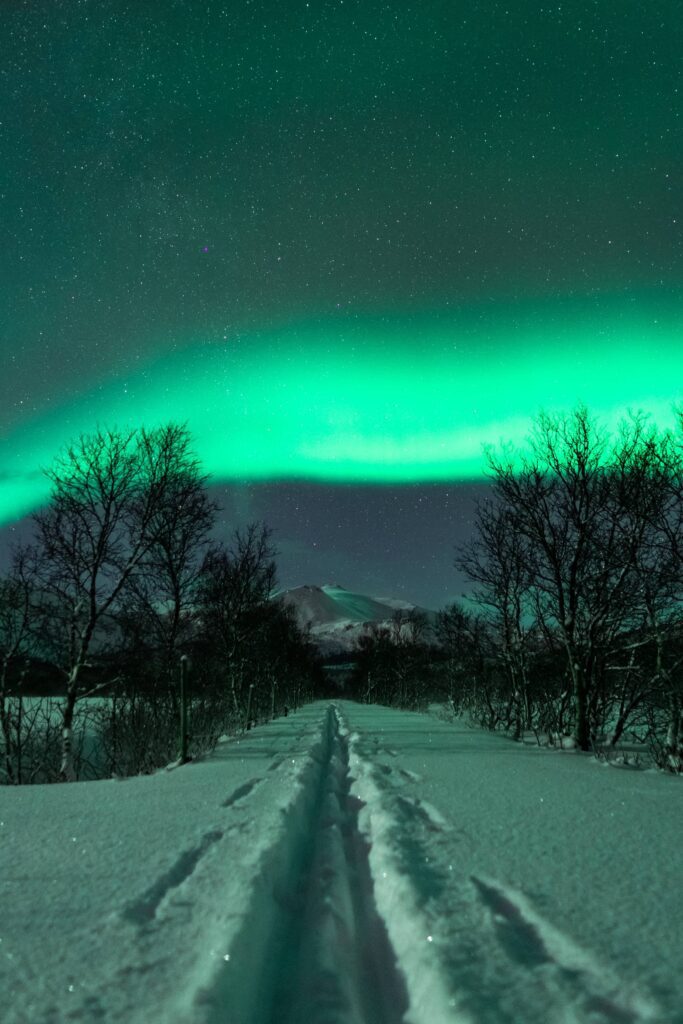 Cross Country Skiing Trail with Northernlights Vertical Free Photo