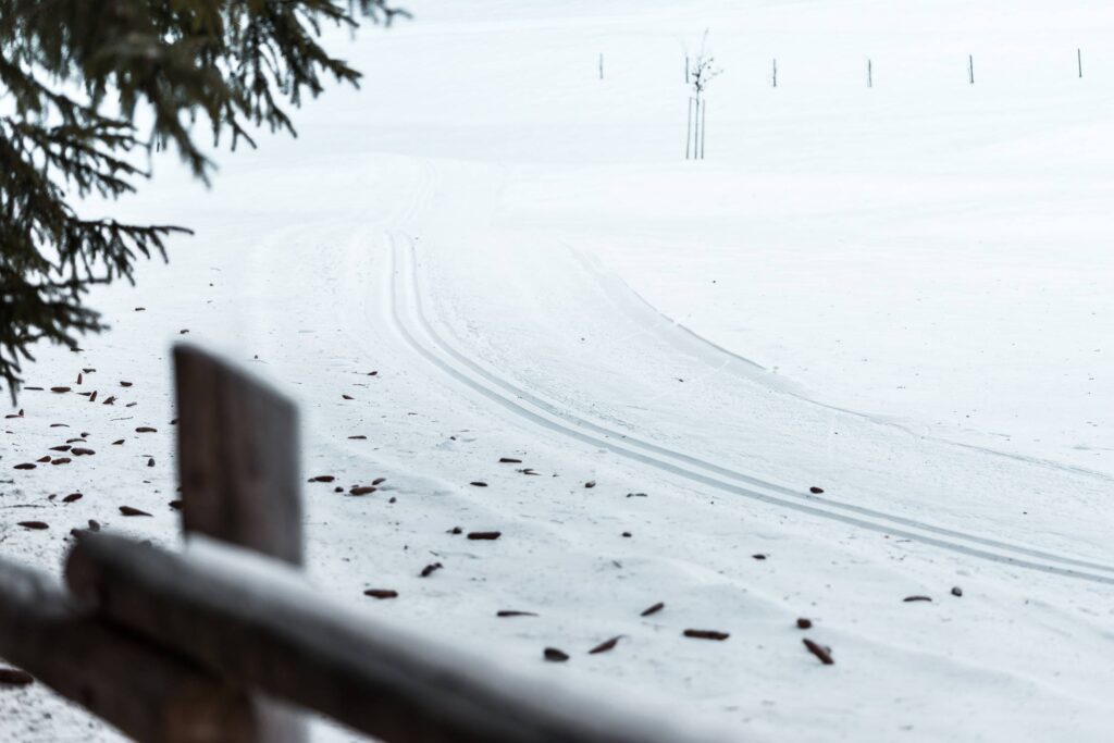 Cross Country Skiing Trails in Snow Free Photo