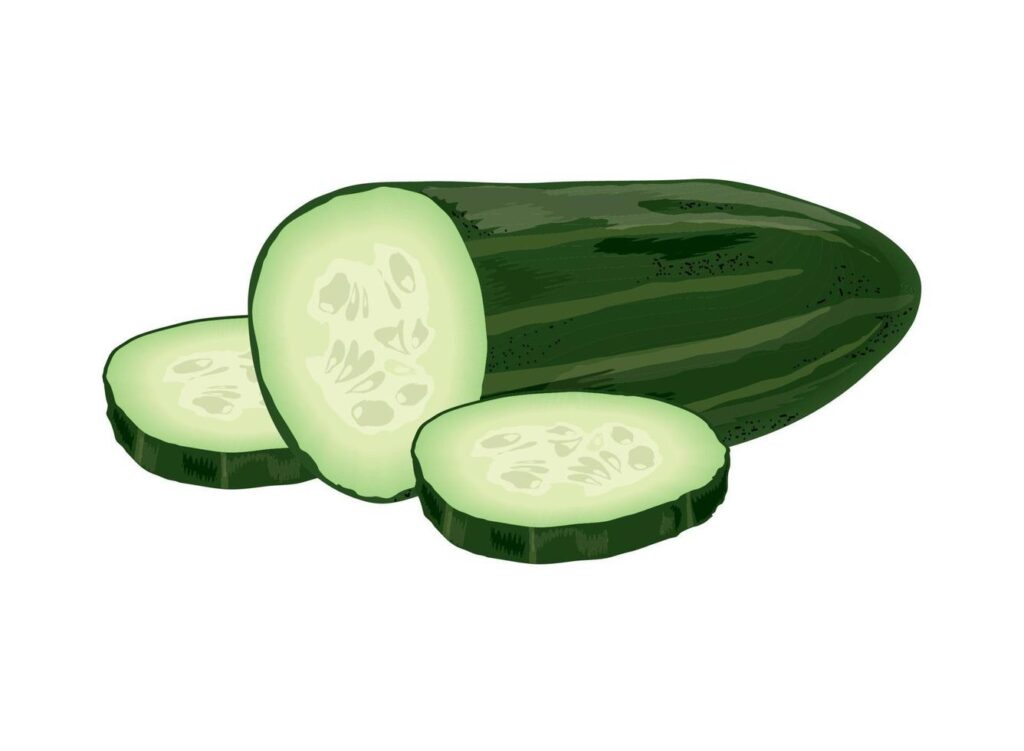 cucumber vegetable icon Stock Free