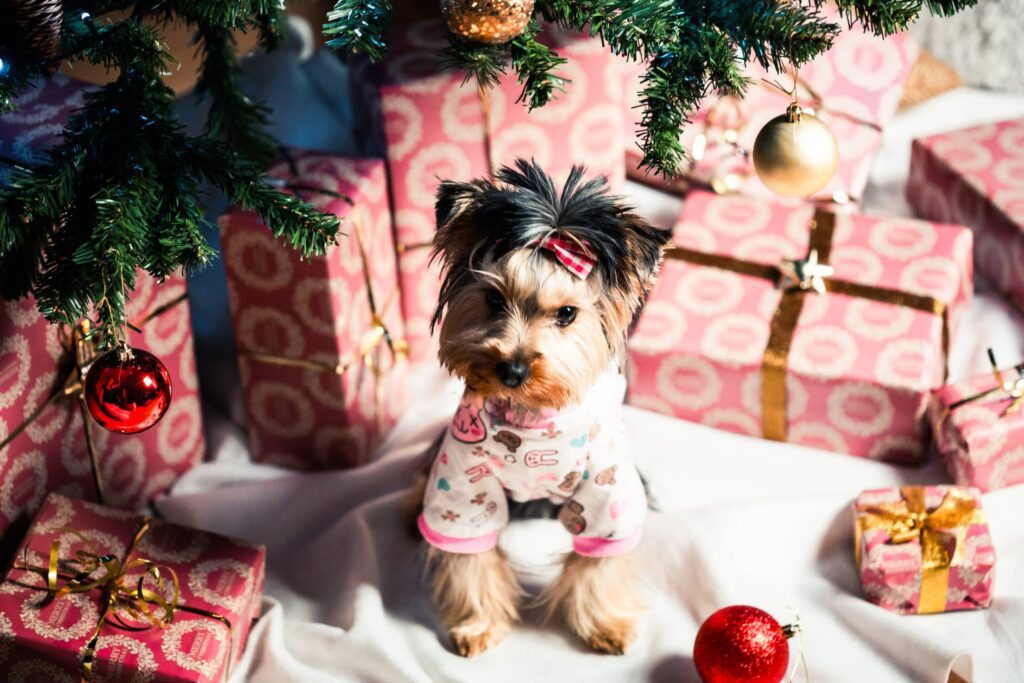 Cute Puppy in Pyjamas Under Christmas Tree Free Photo