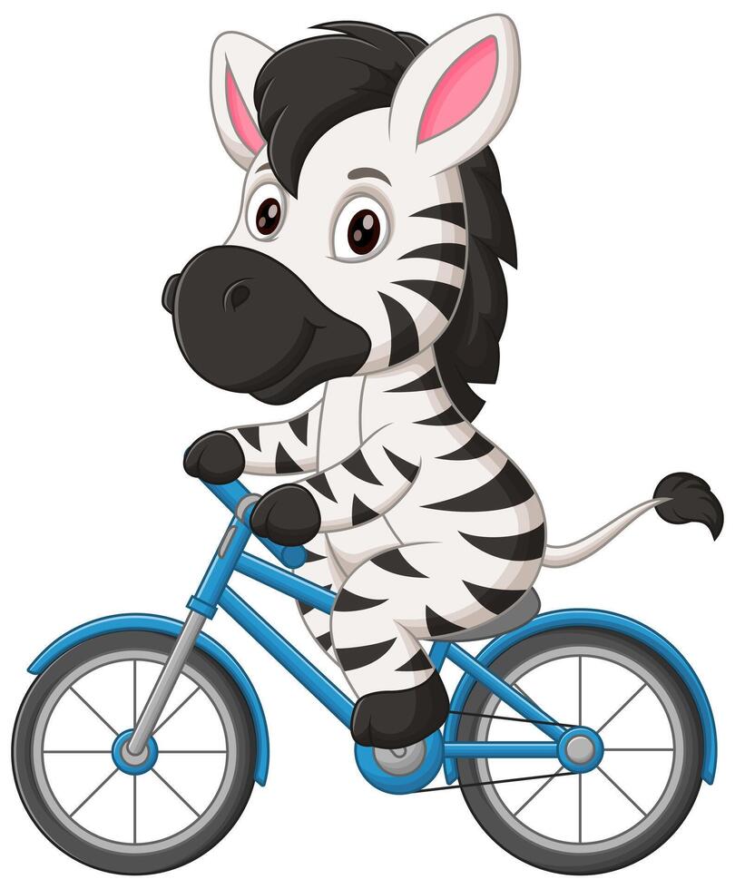 Cute Zebra Riding Bicycle Cartoon Vector Icon Illustration. Animal Sport Icon Concept Isolated Premium Vector Stock Free