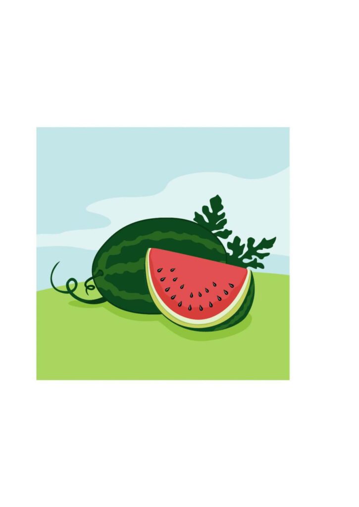 Vector illustration of Watermelon