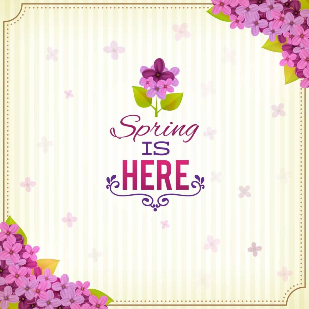 Spring illustrations