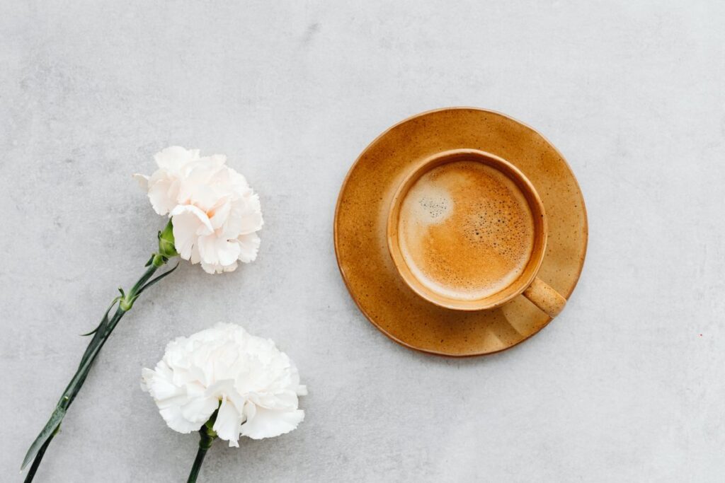 Cup of coffee – Zara Home Stock Free