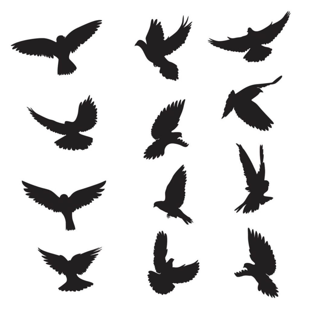 Set of silhouettes of doves