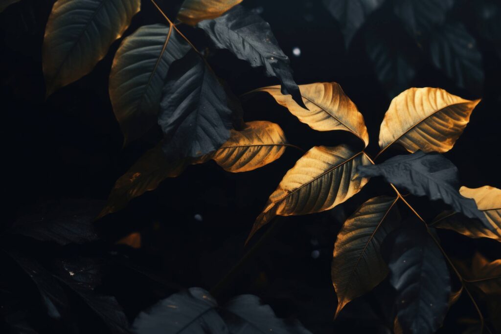 Dark and Golden Leaves Stock Free