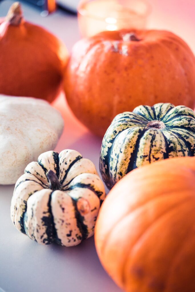 Decorative Pumpkins Free Photo