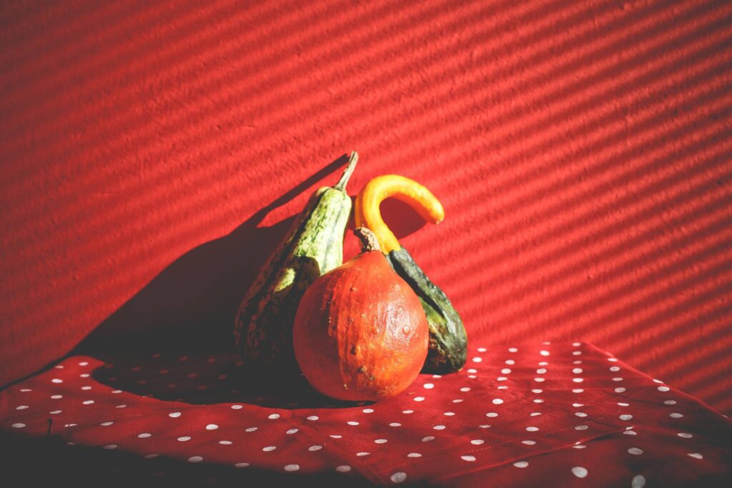 Decorative Pumpkins in Red Free Photo