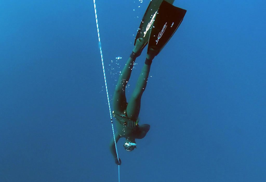 Diving the Sea Free Stock HD Photo