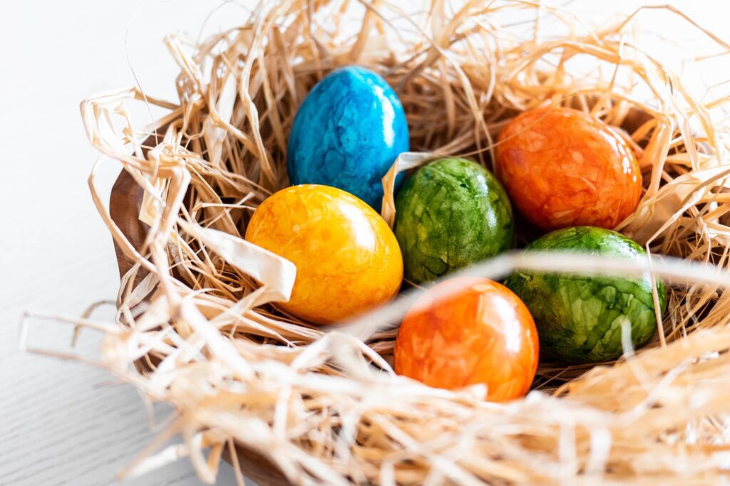 Easter Eggs Colored Close Up Free Photo