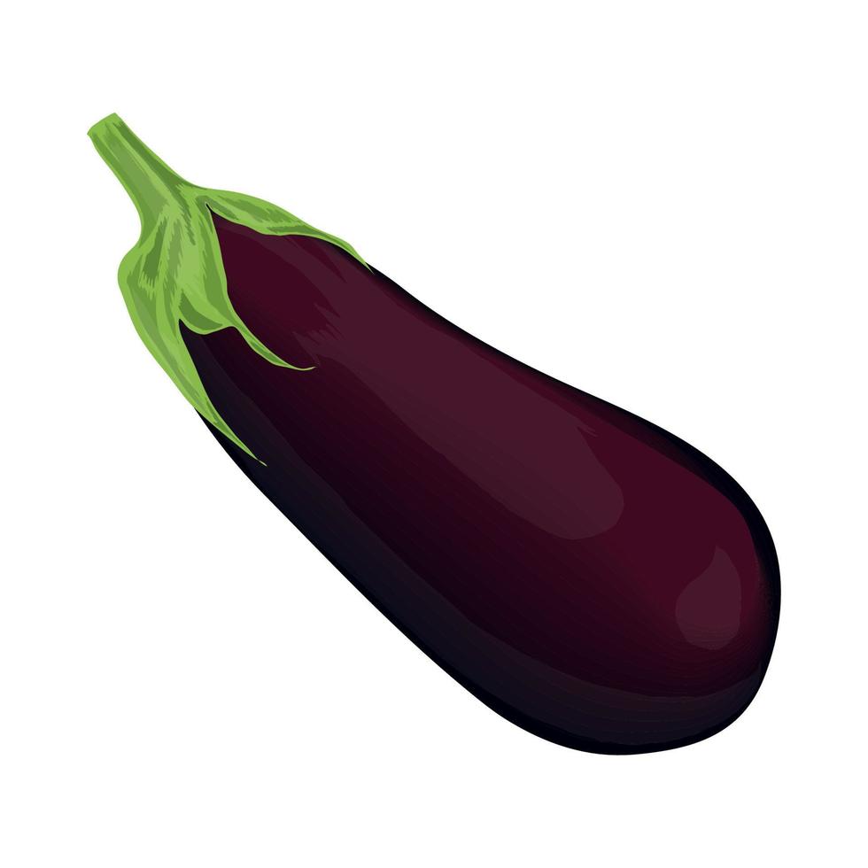 eggplant vegetable icon Stock Free