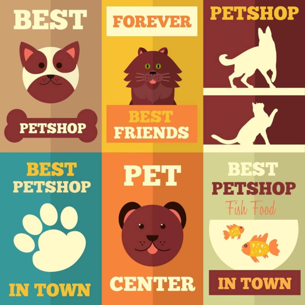 Petshops flat concept cards