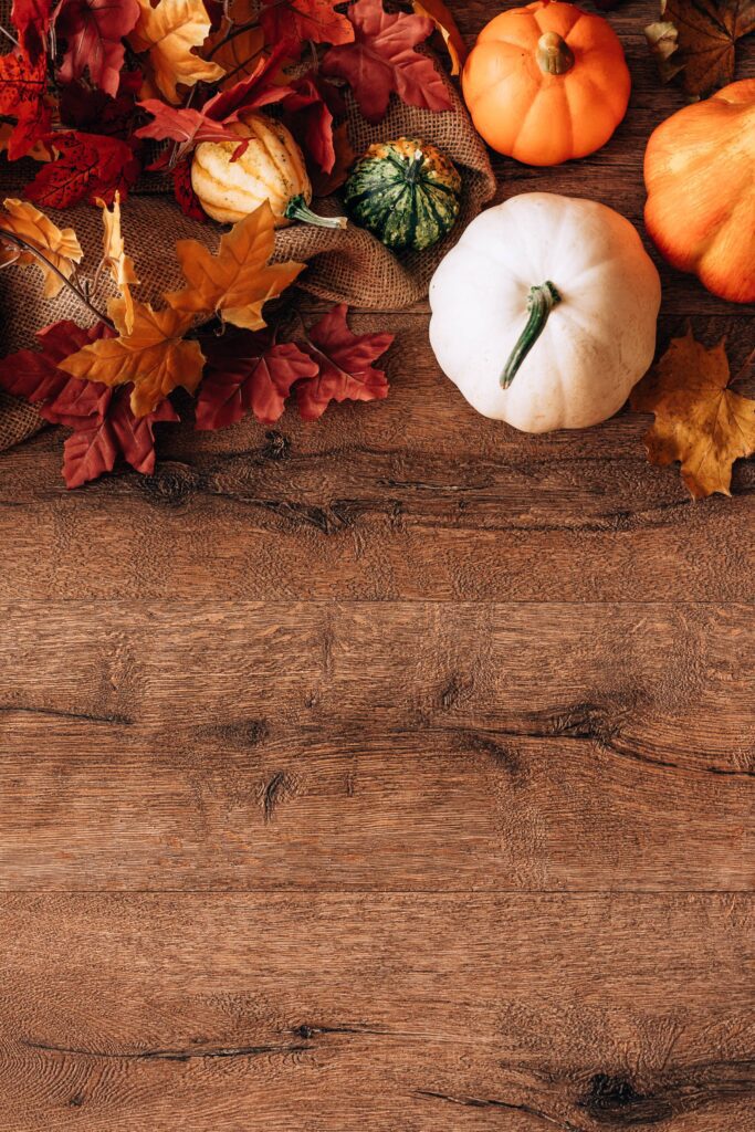 Fall and Pumpkins October Still Life with Space for Text Free Photo