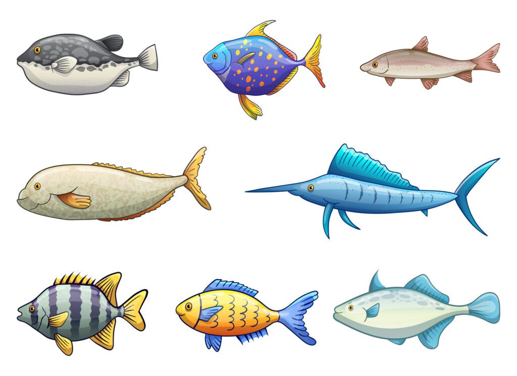 Fish drawing vector design illustration isolated on white background Free Vector