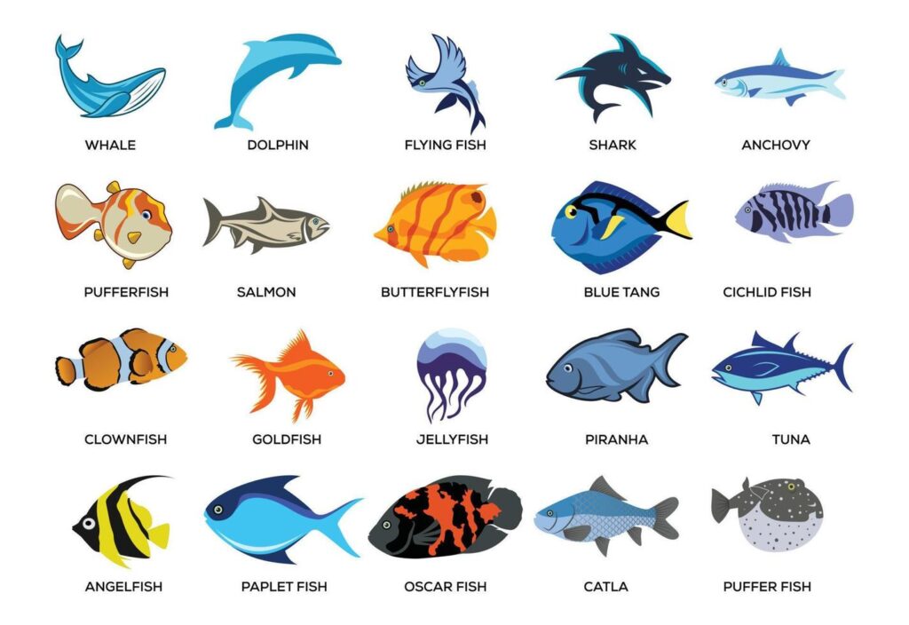 Fish icon set. Flat set of fish vector illustrations isolated on white background Stock Free and Free SVG