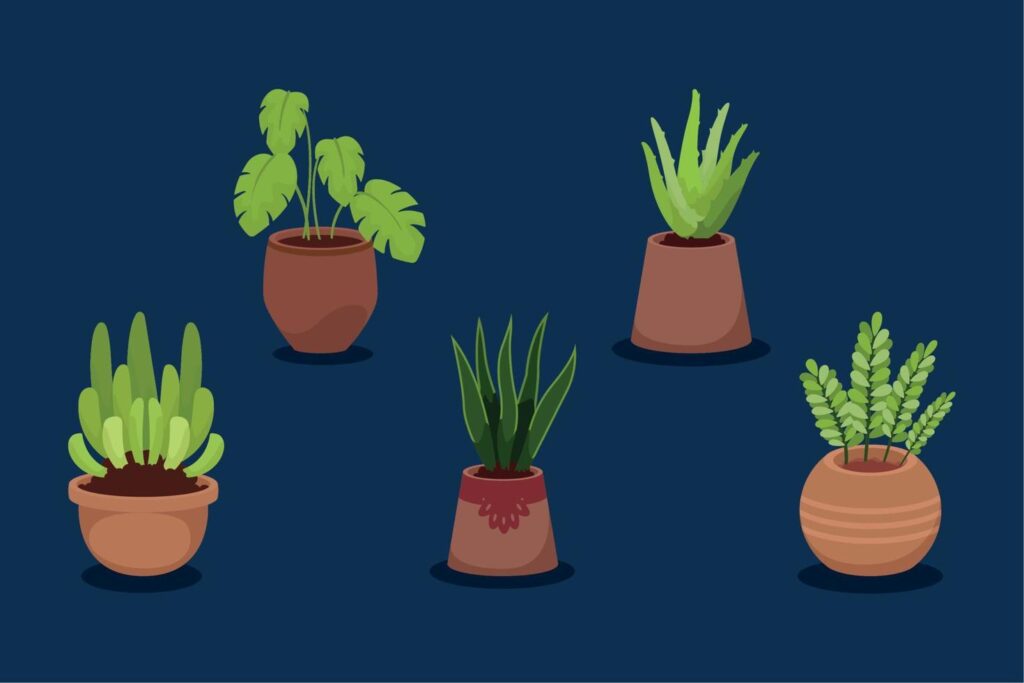 five houseplants decorative icons Stock Free