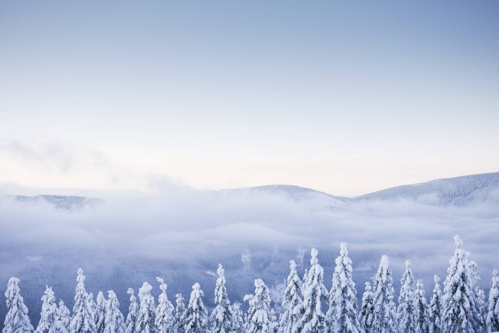 Fog over a Snowy Forest in the Mountains Free Photo