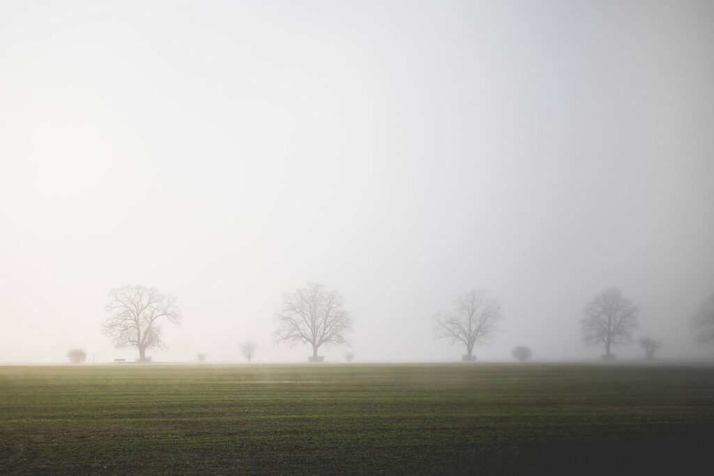 Foggy Field Free Photo