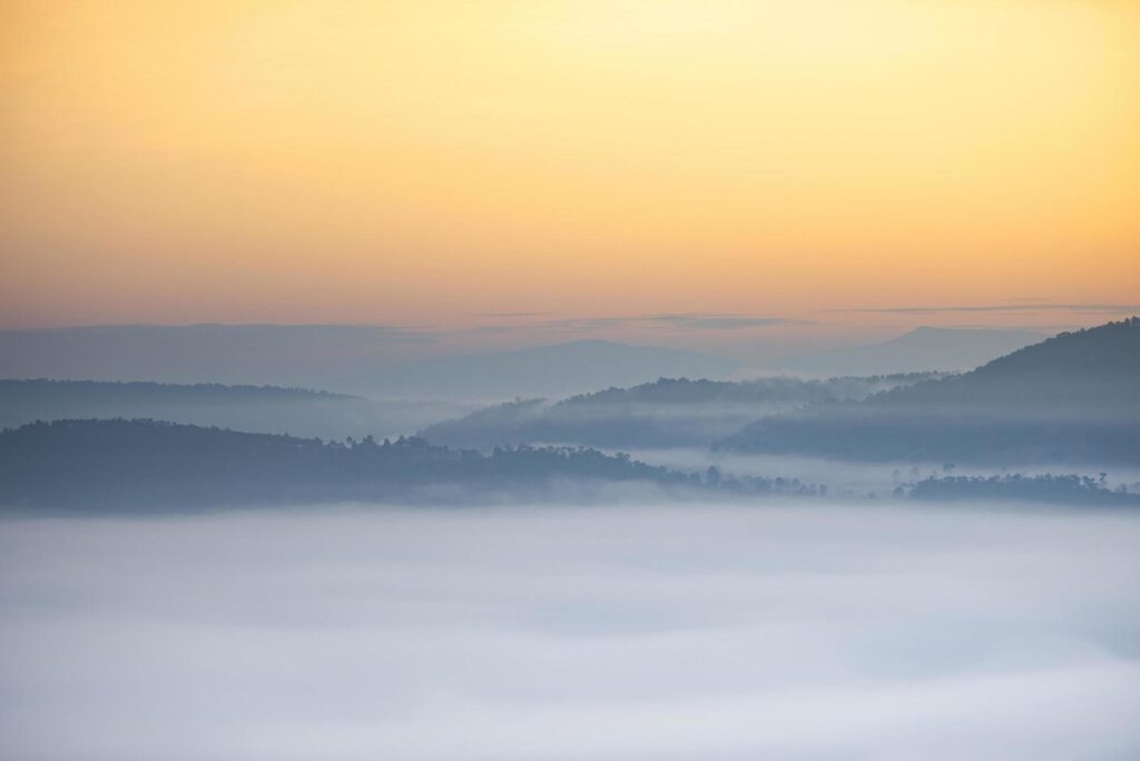 foggy landscape forest in the morning beautiful sunrise mist cover mountain background at countryside winter. Free Photo