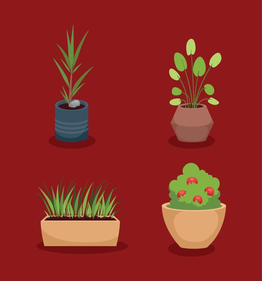 four houseplants decorative icons Stock Free