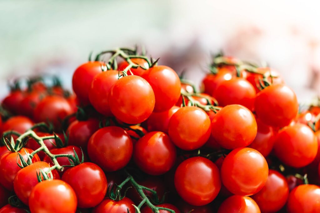 Fresh Cherry Tomatoes Free Photo