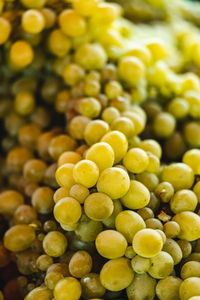 Fresh White Grapes Free Photo