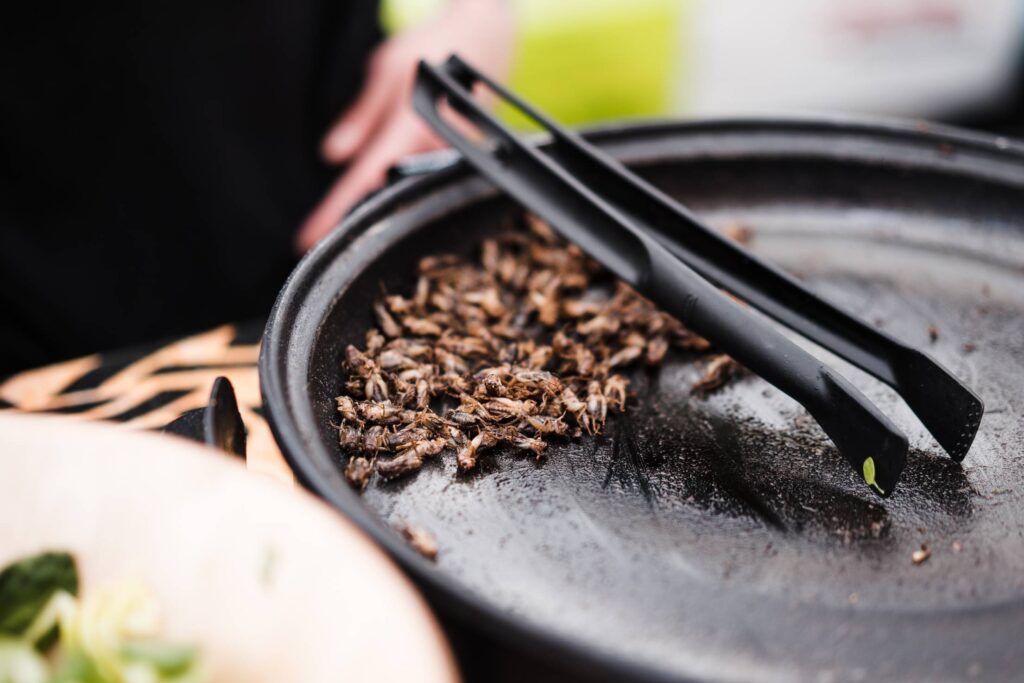 Fried Insects Beetles Traditional Exotic Asian Food Free Photo