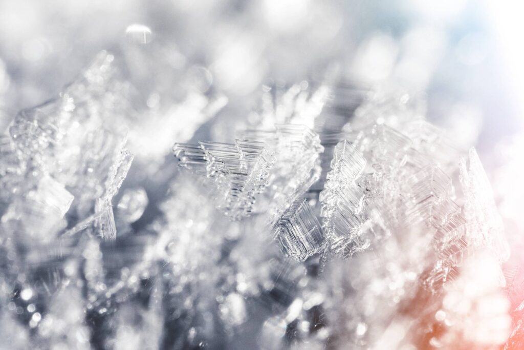 Frozen Snowflakes Winter Hoarfrost Crystals Close Up Free Photo