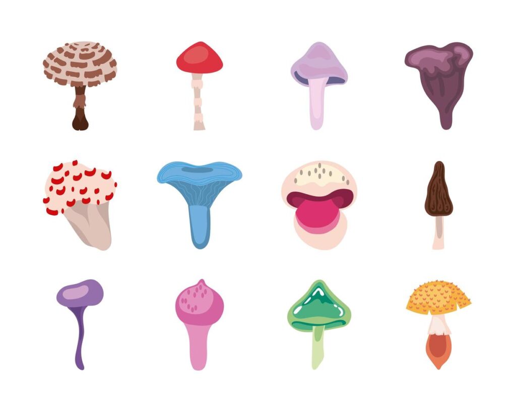 Fungus and mushroom icon set Stock Free