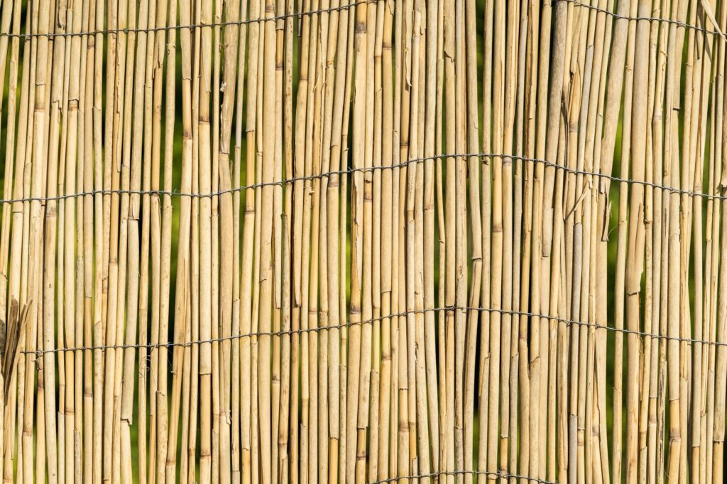 Garden Bamboo Wall Fence Texture Background Free Photo