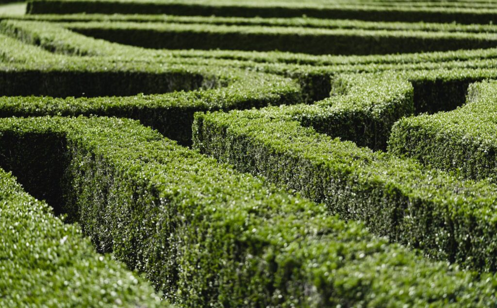 Garden Maze Free Photo